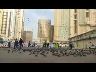 Masjid al haram | makkah | medina |