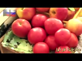 Бедные помидорки