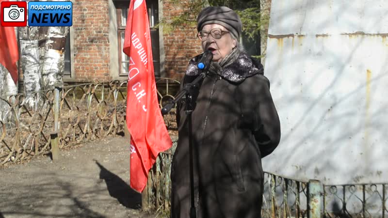 Подсмотрено news/ митинг 22 апреля тамара чагаева великий устюг