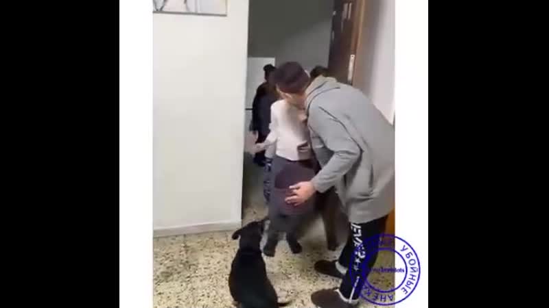 Внучата к бабушке в гости приехали