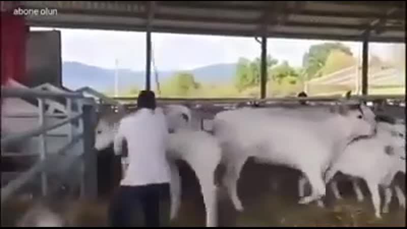 Словил плюху