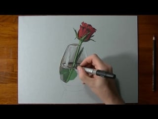 Drawing time lapse a red rose in glass vase