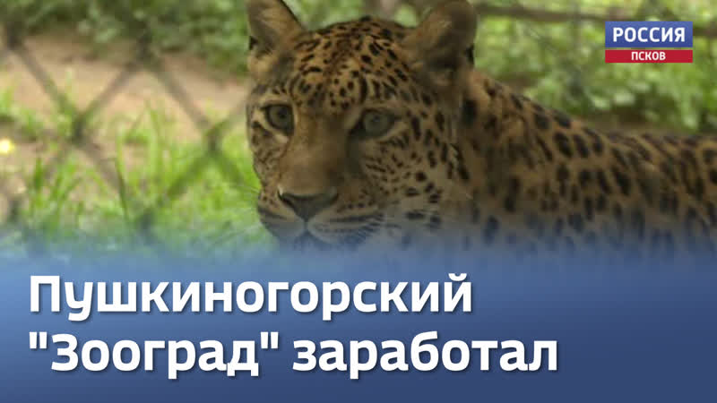 После долгого перерыва открылся пушкиногорский «зооград»