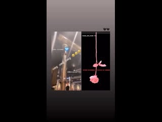 190513 @ roses are rosie