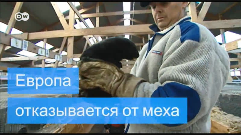 Европа отказывается от натурального меха