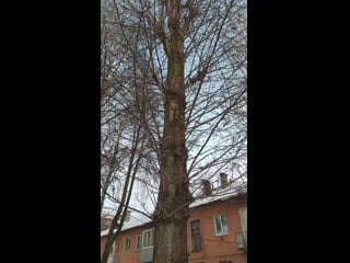 Vid 20210130 100145 mp4