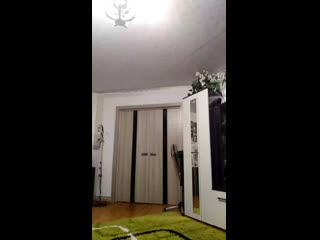 Vid 20201126 152639 mp4