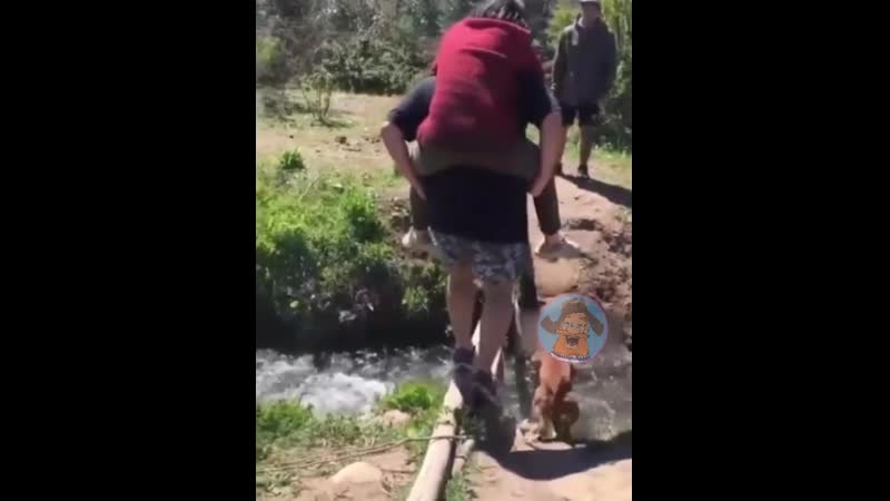 Ваша яичница готова, сэр!