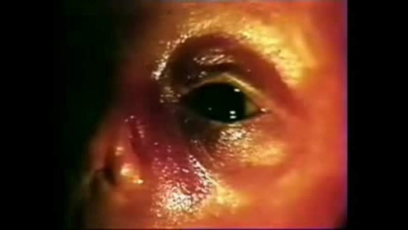 Сдайте потс суки!111 онотоле негодуе!111 онанюги вонючи лошки!!!!11 жепь ебрило!!11111111адин