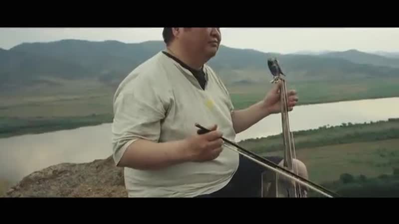 Зор хара нюдэн (очи чёрные)