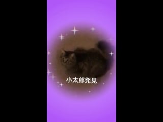 Takagi manpei / shinpei