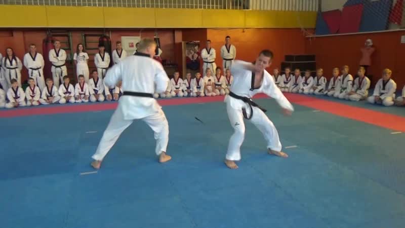 Тхэквондо втф (wt)