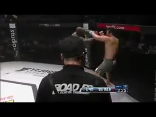 Melvin manhoef vs jae young kim