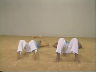 Capoeira от nilson reis joselito santos 1 часть базовая работа
