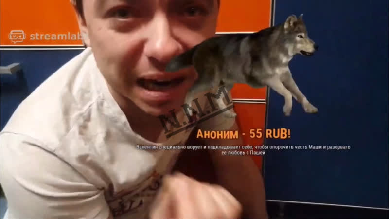 Наркоман гей медиа личность