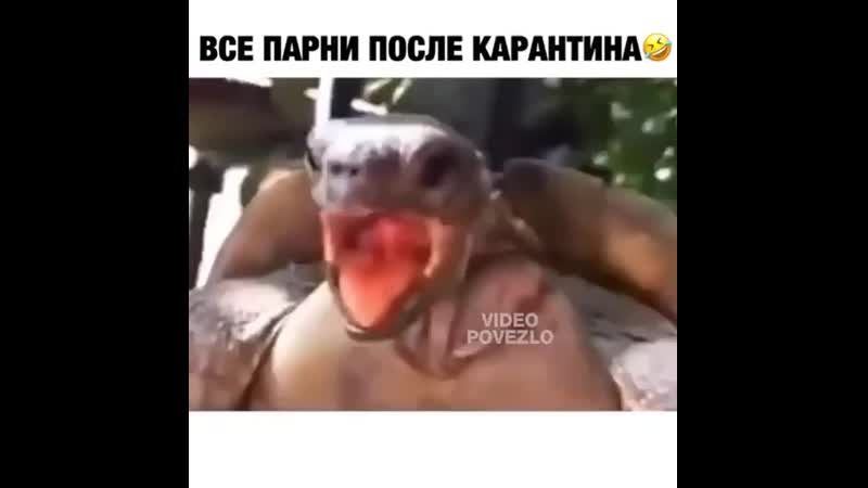 Minuta slavi 20200425 1 mp4