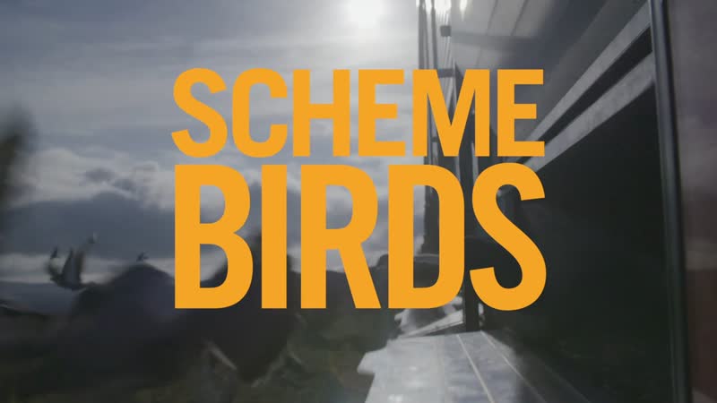 Птички предместья (2019) scheme birds