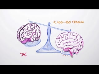 115 чем мужчины отличаются от женщин научпок