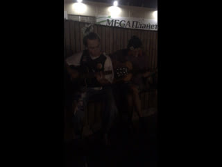 Live полянка🪗🤍тлт