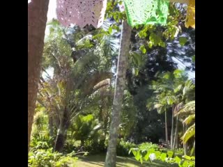Talking with a bird this sunny morning