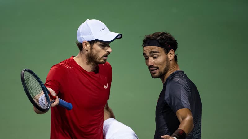 Энди маррей фабио фонини