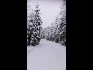 Finland jan / 6th / 2021, nothing is better than pure nature; fresh air, snowflakes on the face, complete silence