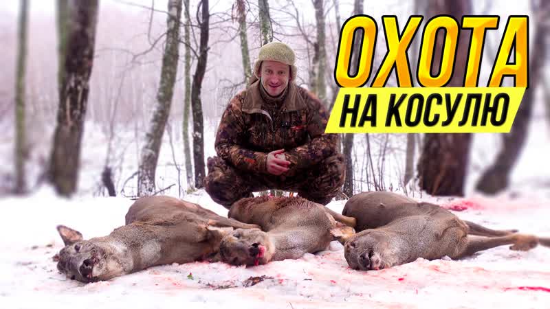 Загон на косулю / добыли 3 х косуль / загонная охота на косулю