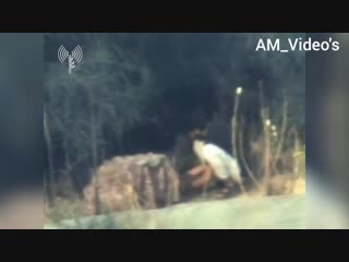 Сектор газа палестинские территории октябрь 2018 уничтожение бойца хамас при попытке запуска ракеты по территории израиля