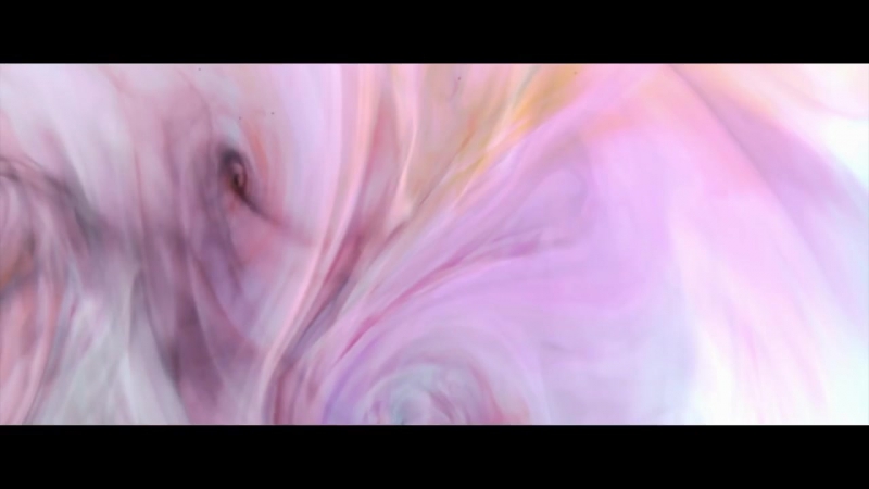 Gay vans 18+ | asbjørn the love you have in you (fifth pseudo vision)