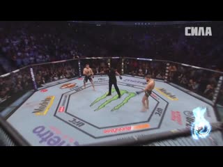 Angetenar rompasso хабиб vs конор khabib vs conor