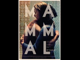 Млекопитающее mammal (2016) ирландия