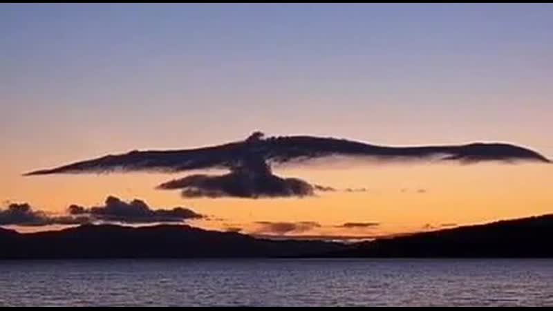 🎼💕🌼💎💖● летели облака ●💖💎🌼💕 🎼