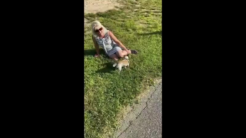 Парень выгуливал молодые, и к нему пристала женщина, притворяясь, что его пёс укусил её