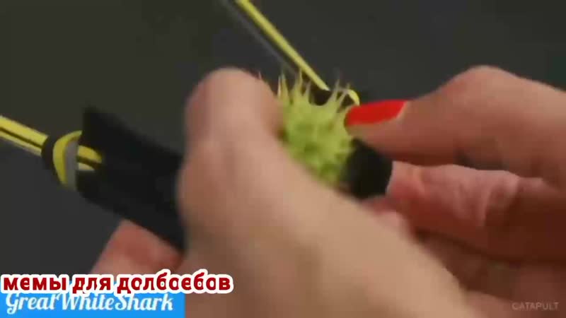 Меткий выстрел