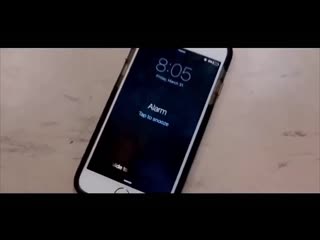 Нигеры ебанулись и флексят пад маргенштерна