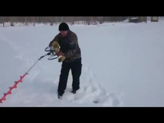 Бешеный бур