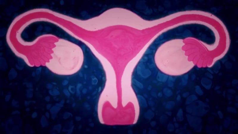 Оплодотворение репродуктивная система мужчины и женщины процедура эко генетика в эко (пгт)