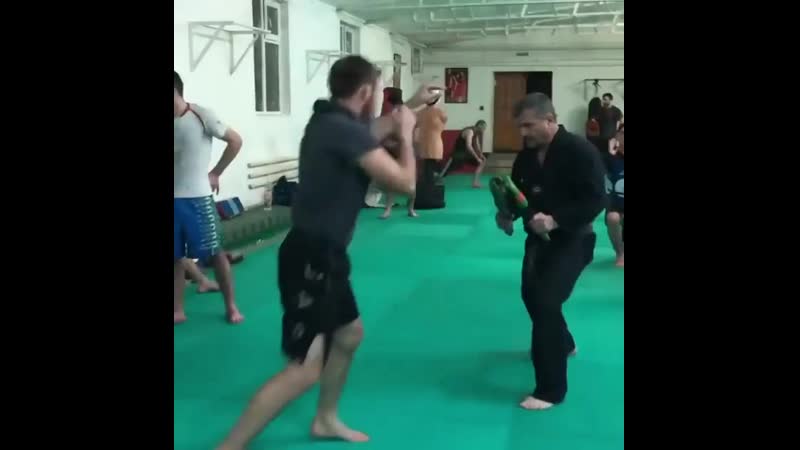 Magomed "tiger" magomedov (16 1)