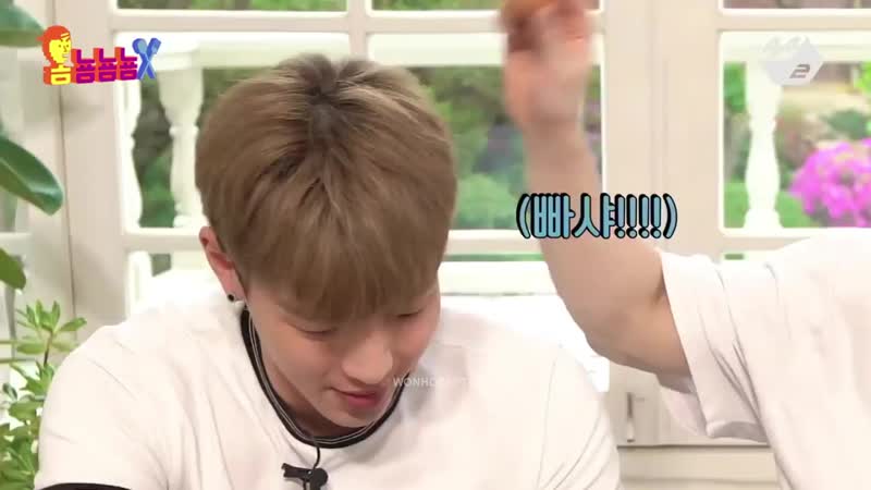 Shownu and wonho mukbang funny
