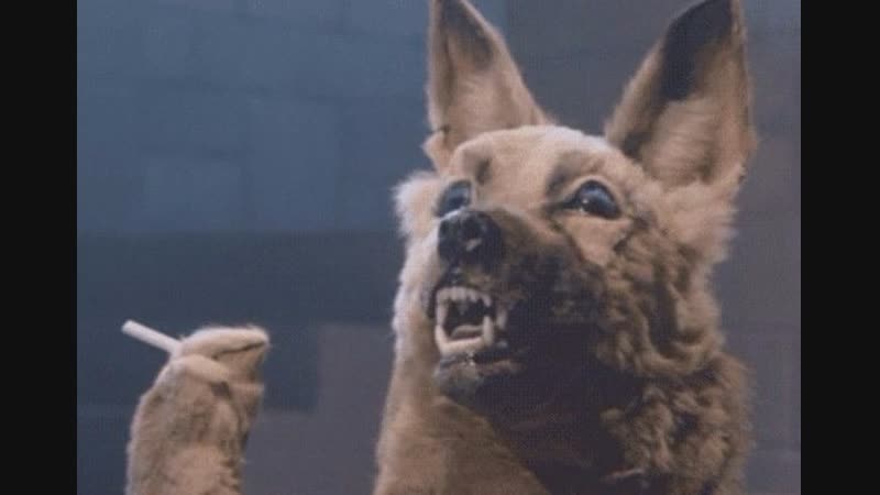 Асмр! топ голосок и ваши ушки) #satalive #вм #асмр #asmr