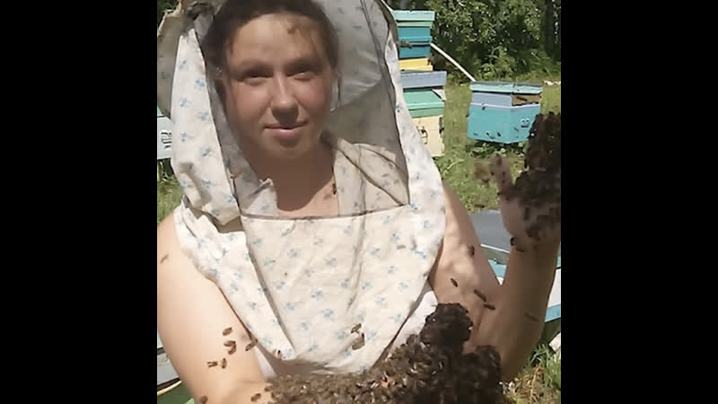 Девушка из томска в одиночку переехала в лес и развела пасеку