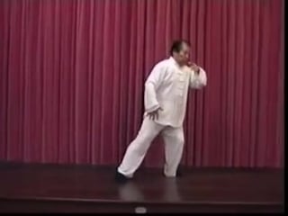 28 forms fu shengyuan authentic yang style taichi chuan