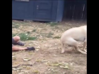 Omg hahahaha when you're too excited to wait your turn