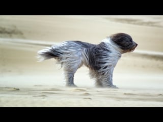 Gitte haenning sonne und mond