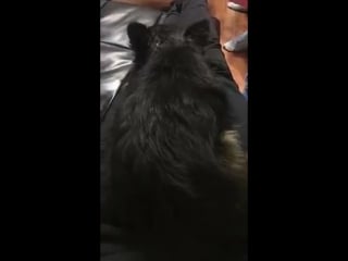 Amber's snapchat (161208)