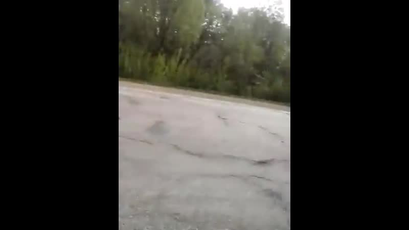 Траса житомир коростень крик відчаю водія, влада де дороги