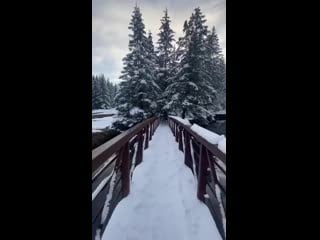 Beautiful nature sightseeing of alaska