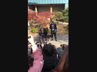 [fancam | 181130 | mini fanmeeting]