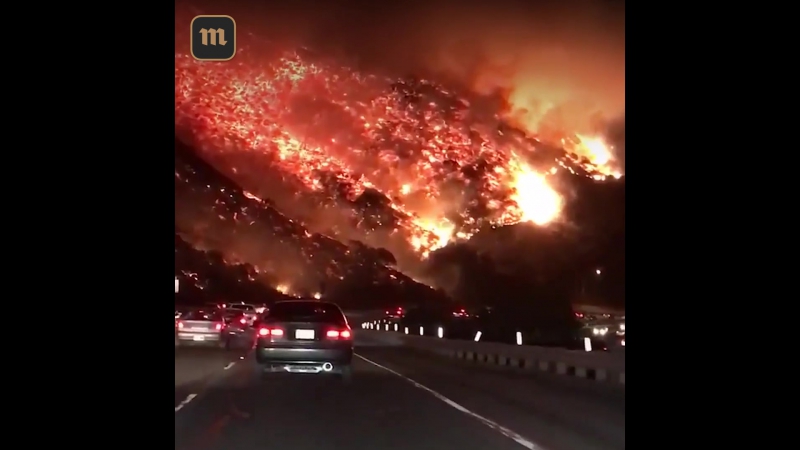 «не самая типичная дорога на работу» пожары в южной калифорнии