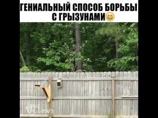 Борьба с белками